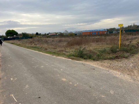 Parcela Plantio, San Adrián